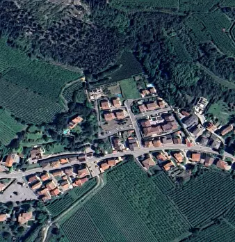 Foto annuncio 6