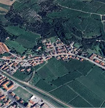 Foto annuncio 7