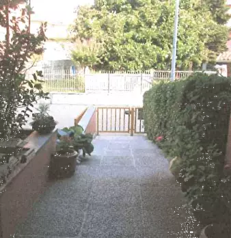 Foto annuncio 10