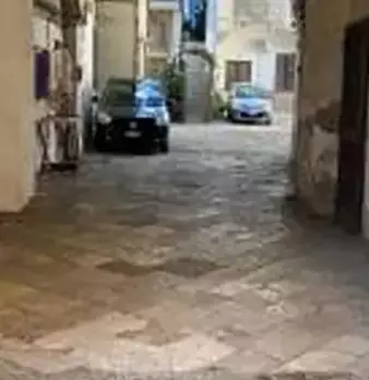 Foto annuncio 15