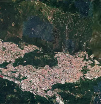 Foto annuncio 15