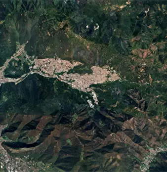 Foto annuncio 16