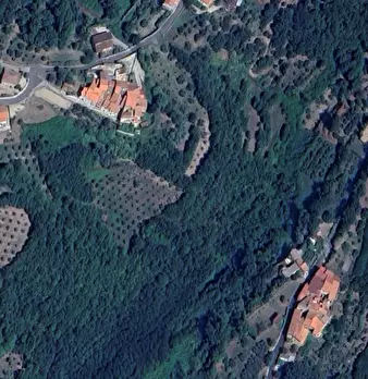 Foto annuncio 7