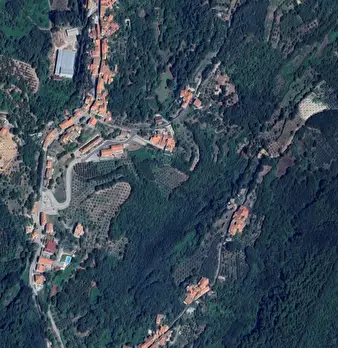 Foto annuncio 9