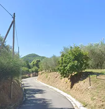 Foto annuncio 11