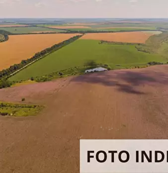 Foto annuncio 18