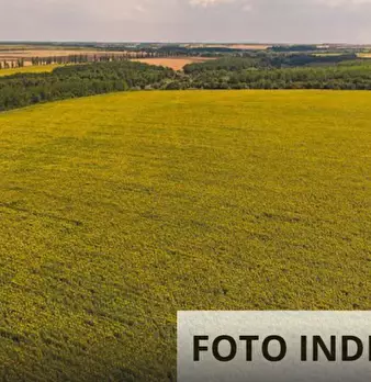 Foto annuncio 21