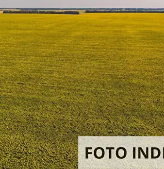 Foto annuncio 22