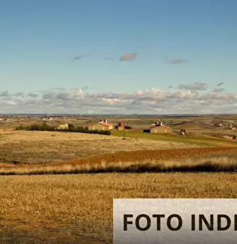 Foto annuncio 14