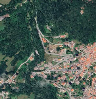 Foto annuncio 26