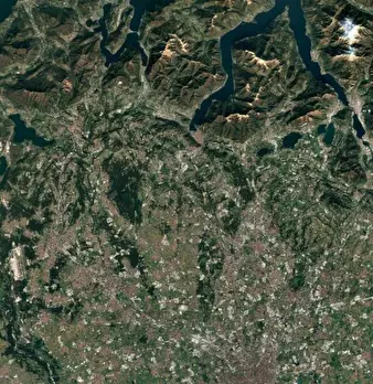 Foto annuncio 8