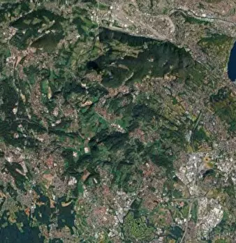 Foto annuncio 9
