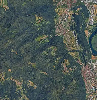 Foto annuncio 9