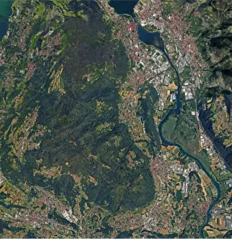 Foto annuncio 8