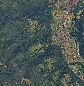Foto annuncio 7