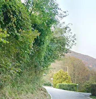 Foto annuncio 5