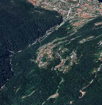 Foto annuncio 9