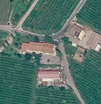 Foto annuncio 11