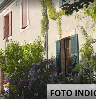 Foto annuncio 12