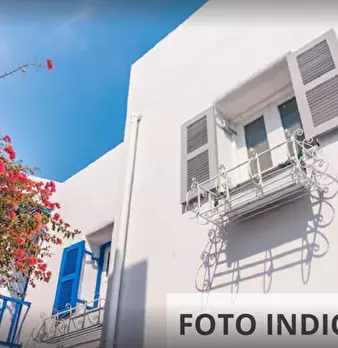 Foto annuncio 18