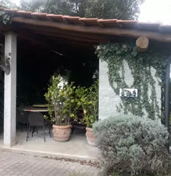 Foto annuncio 4