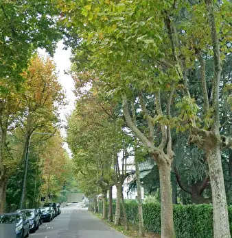 Foto annuncio 8