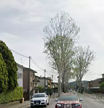 Foto annuncio 10
