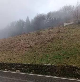 Foto annuncio 8