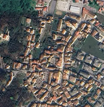 Foto annuncio 9