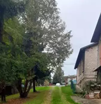 Foto annuncio 10