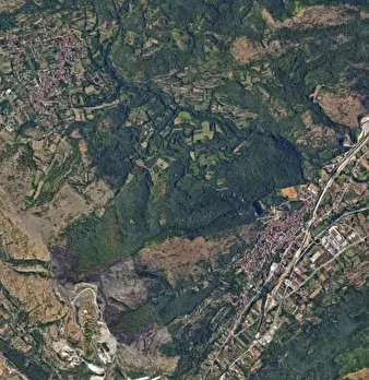 Foto annuncio 9