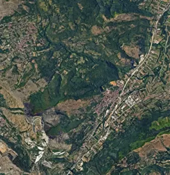 Foto annuncio 10