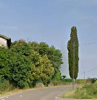 Foto annuncio 6