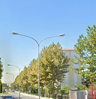 Foto annuncio 9