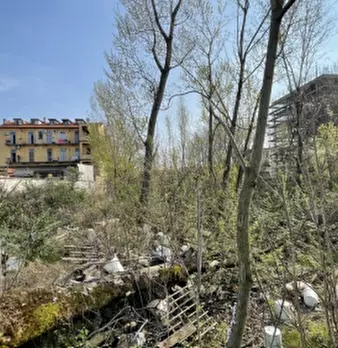 Foto annuncio 5