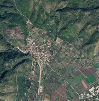 Foto annuncio 9