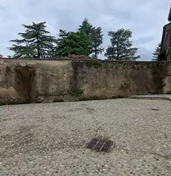 Foto annuncio 1