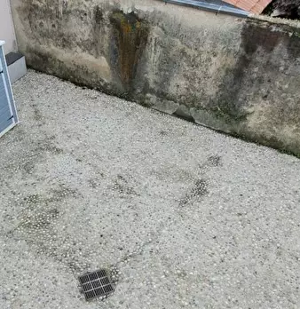Foto annuncio 4