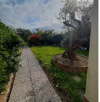 Foto annuncio 6