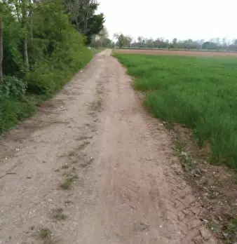 Foto annuncio 6