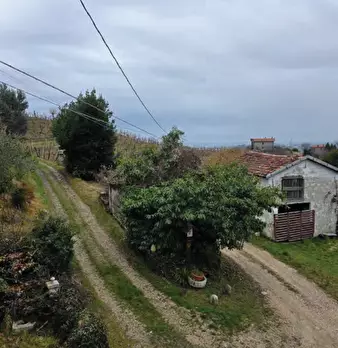 Foto annuncio 8