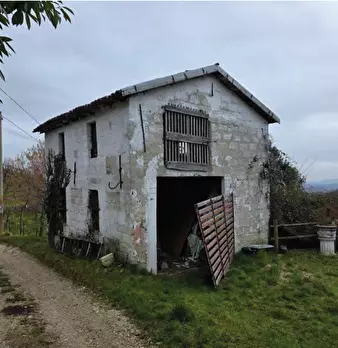 Foto annuncio 9