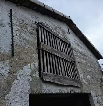 Foto annuncio 10