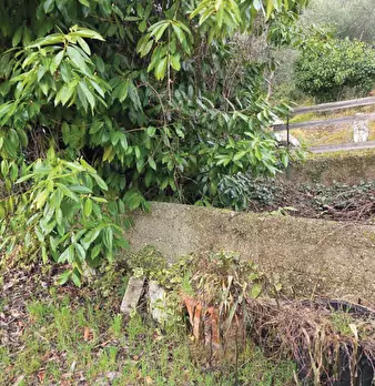 Foto annuncio 11