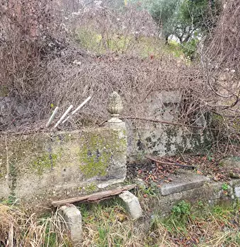 Foto annuncio 12