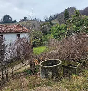 Foto annuncio 14