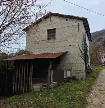 Foto annuncio 16