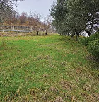Foto annuncio 19