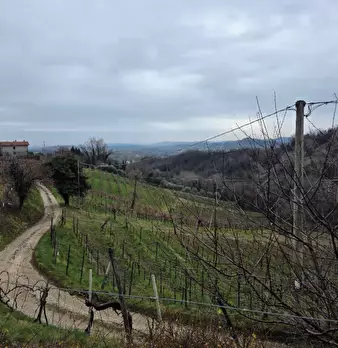 Foto annuncio 21