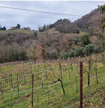 Foto annuncio 26
